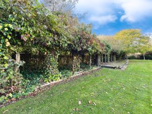 Photo 21- click for photo gallery